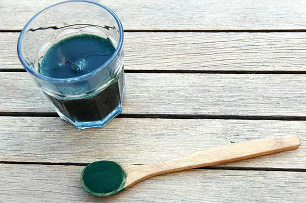 spoon of spirulina