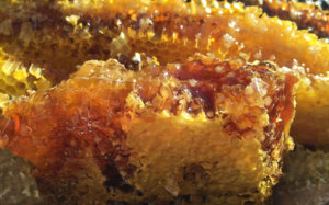 honeycomb