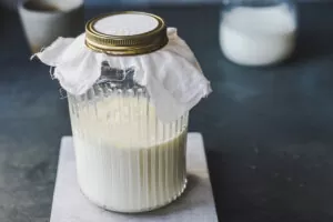 homemade kefir
