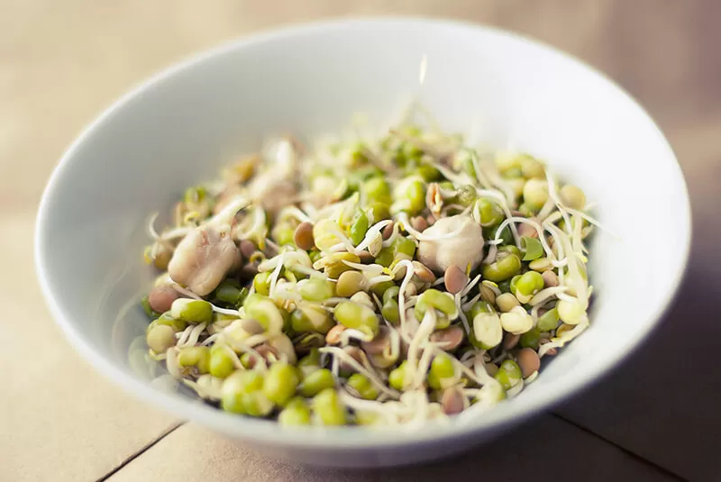 soy sprouts in bowl